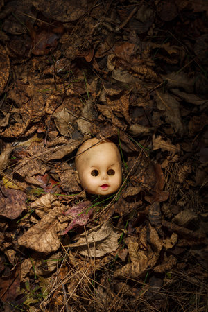 Creepy doll head without hair, face with no eyes lying in autumn forest among dry leaves. Spooky Halloween backgroundの写真素材