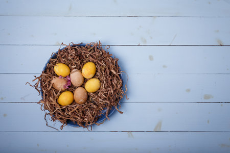 Brown, yellow Easter eggs in nest on blue wooden background. Eggs colored with turmeric, coffee, tea. Top view, copy space.の写真素材