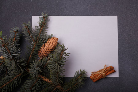 Blue fir tree branch with big cone on grey and white wooden background. Merry Christmas blank card, advertisement template, copy spaceの写真素材