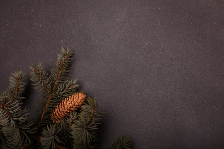 Blue fir tree branch with big cone on gray wooden background. Merry Christmas blank card, advertisement template, copy spaceの写真素材