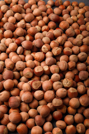 many raw hazelnuts in shells, making total background, natural food texture, pattern. Top view.の写真素材