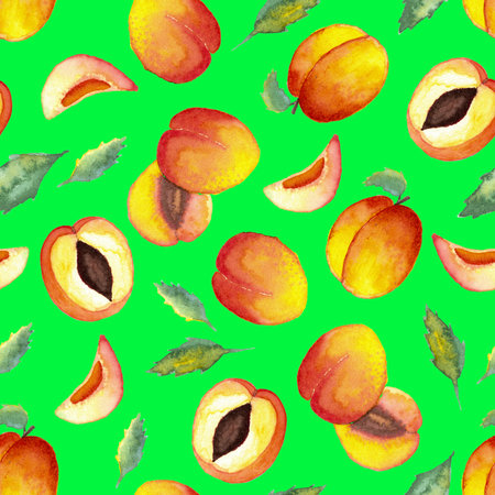 seamless pattern of watercolor whole and halved apricots on green background with leaves