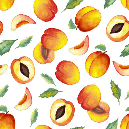 seamless pattern of watercolor whole and halved apricots on white background with leavesの写真素材
