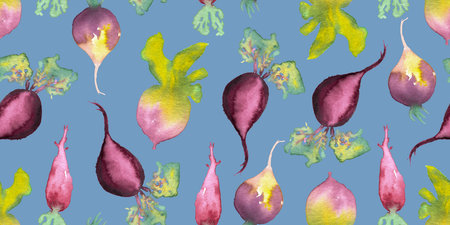 seamless pattern of watercolor beetroots illustration on blue background. Beets hand painted elementsの写真素材