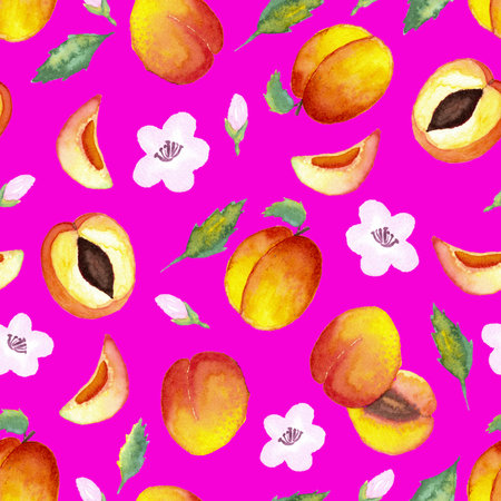 seamless pattern of watercolor whole and halved apricots on pink background with leaves and flowersの写真素材