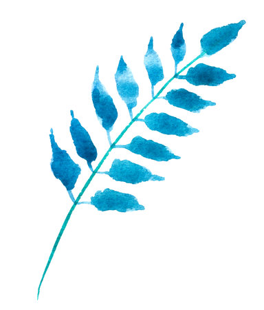 blue turquoise leaves, hand drawn watercolor element, isolated on white backgroundの写真素材