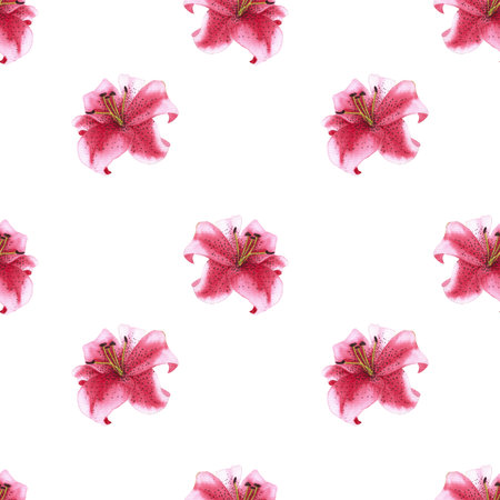 seamless pattern of pink tiger lily flowers, hand drawn watercolor illustration element isolated on white backgroundの写真素材