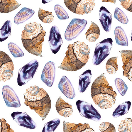 seamless pattern of hand painted watercolor sea shells illustration on white backgroundの写真素材