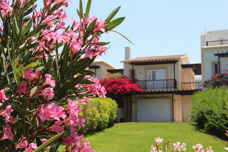 beautiful white house in the Greek style, a cottage among flowering bushes and trees on a sunny summer day. Cyprus street, Protaras. Apartments for rent for recreation and tourismの写真素材