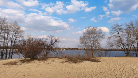 View of sandy beach along the river bank, framed by bare trees and blue sky with fluffy clouds....