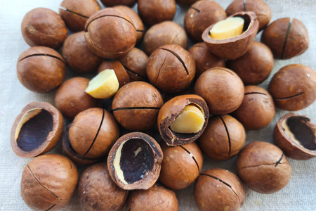 A pile of macadamia nuts on a cloth napkin. Opened Australian nut. Healthy organic food backgroundの写真素材