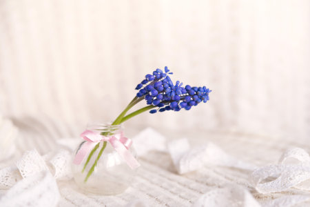Beautiful muscari flowers in vase on table, closeup