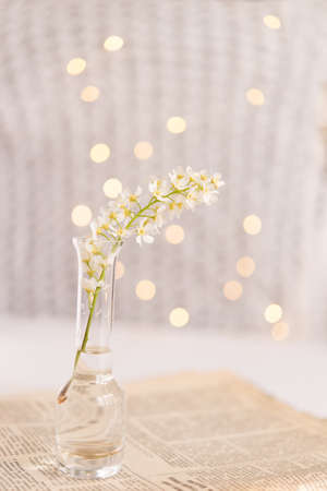 Bouquet of white flowers in a glass vase on a background of bokeh lightsの写真素材