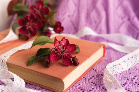 old book with red small flowers on a lilac openwork background close-up