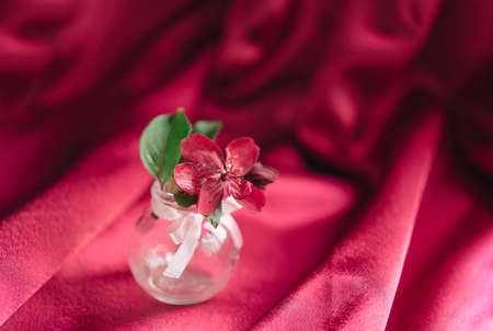 Flowers in a glass vase on a red silk background.の写真素材