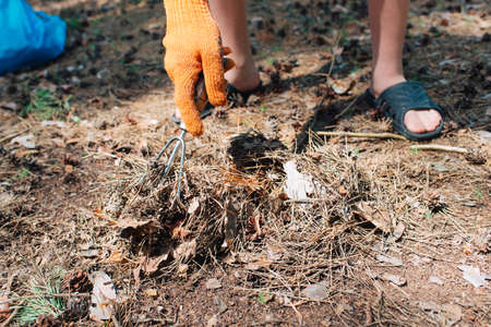 Close up of a woman's hands in orange gloves working in the garden.の写真素材