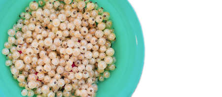 White currant berries in a green bowl on a white background.の写真素材