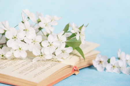 Bouquet of white cherry blossoms and open book on blue backgroundの写真素材