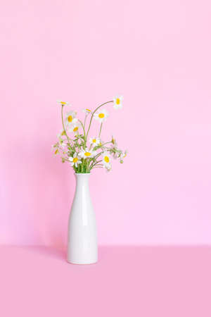 Vase with beautiful chamomiles on color background, space for textの写真素材