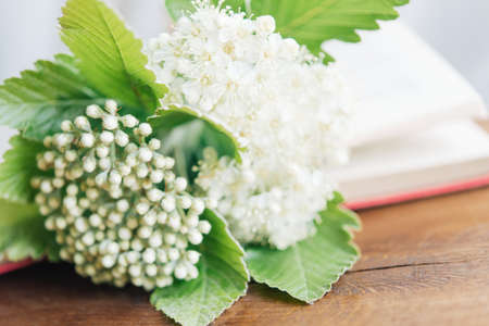 Bouquet of white flowers and green leaves on a wooden tableの写真素材