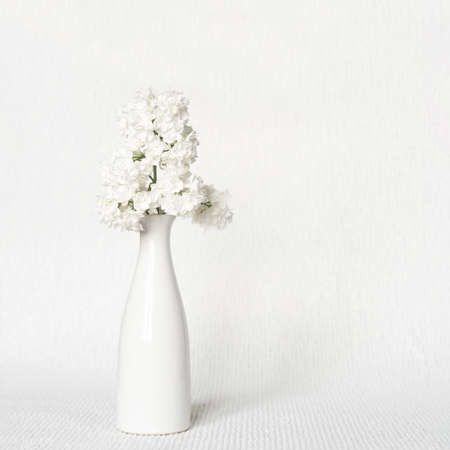 White lilac flowers in a vase on a white background.の写真素材
