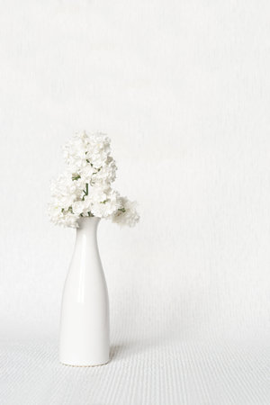 White lilac in a vase on a white background. Copy space.の写真素材