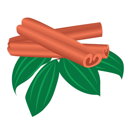 Three cinnamon sticks vector illustrationのイラスト素材