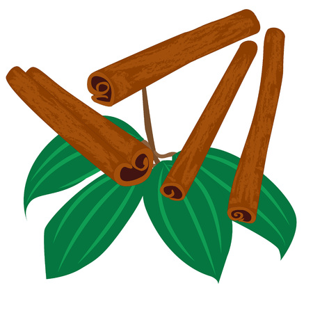 cinnamon sticks spice icon isolatedのイラスト素材