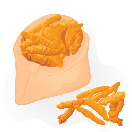 Turmeric roots in a bag on a white background vector illustrationのイラスト素材