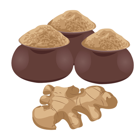 Ginger root and ginger powder in jugs vector illustration.のイラスト素材