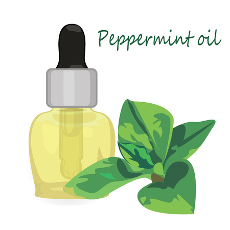 Peppermint essential oil vector illustration Aromatherapyのイラスト素材