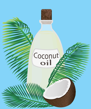 Coconut oil in a jar coconuts and palm leaves as decoration vector illustrationのイラスト素材
