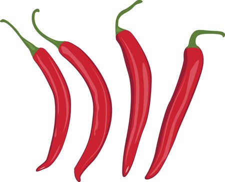 Red chilli peppers vector illustration on a white backgroundのイラスト素材