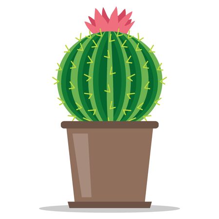 Cactus, blooming green cactus with shadow in a flowerpot isolated on white background. Vector illustration of a cactus in a flowerpot.のイラスト素材