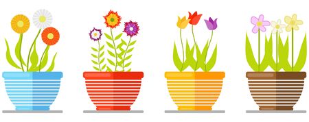 Set of flowers in pot isolated on white background. Set of flowering plants in pots. Floral bouquet. Vector flat design.のイラスト素材