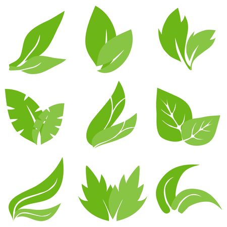 Tree leaves, realistic green leaves. Cartoon leaves. Flat design, vector.のイラスト素材