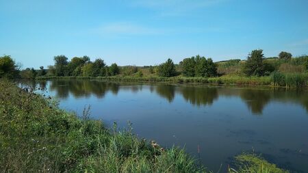 River with green shores and reeds. Photo of a beautiful river with green banks.の写真素材
