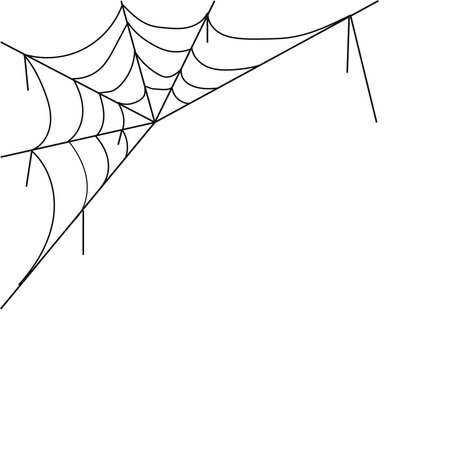 Cobweb, realistic web woven by a spider on a white background. Vector, cartoon illustration. vectorのイラスト素材