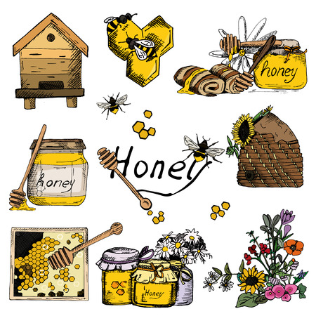 Vector background wallpaper sketch style honey, beekeeping. Color hand drawn set. Template with bee, hive, jar, barrel, flowers, honeycombのイラスト素材
