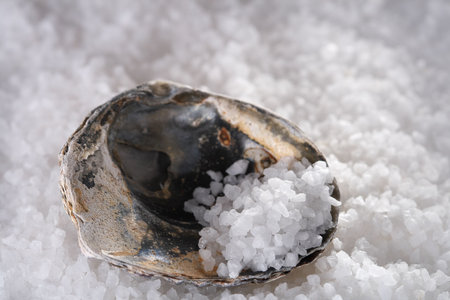 sea salt in sea shell on white salts background, shallow DOFの写真素材