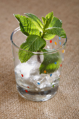 mint leaves with ice cubes in wet glass on burlap canvas background