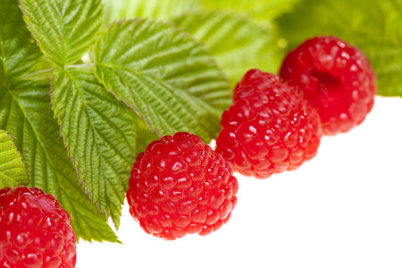 fresh raspberries with leaves, isolated on white, shallow DOF