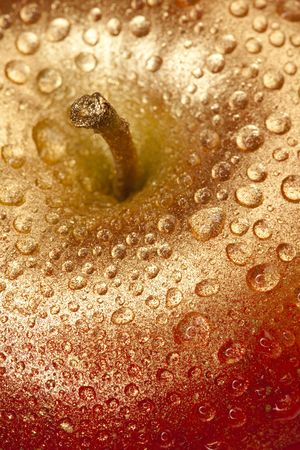 gold gilded apple for christmas with water droplet, macro shotの写真素材