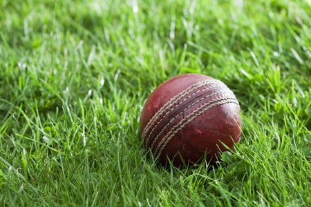 old well used cricket ball in a grass, shallow DOFの写真素材