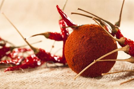 ground paprika in round shape with dried chillies, shallow DOFの写真素材