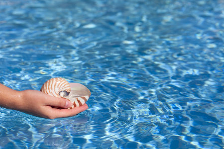 girls hand holding nautilus shell full of water against deep blue water, shallow dof