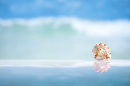 seashell  and reflection with ocean, wave and seascape, shallow dofの写真素材