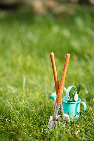 time for garden nowâ¦. decorative small gardening tools and snowdrops  on grassの写真素材