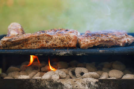 food meat - marinated juicy pork ribs on grill - summer barbeque bbq foodの写真素材