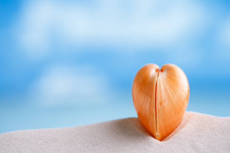red heart sea shell with ocean , beach and seascape, shallow dofの写真素材